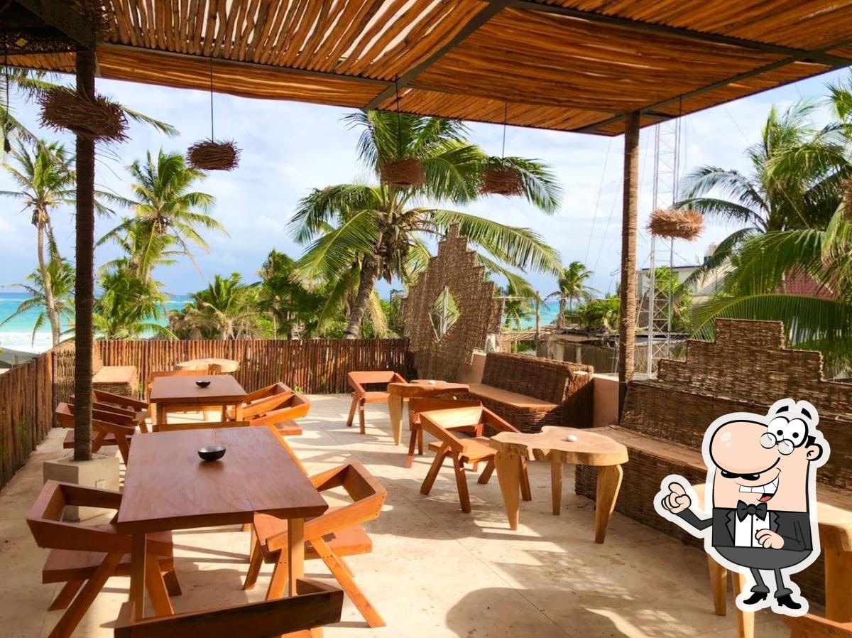 Sakura Jungle Bar