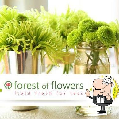 Forest Of Flowers KW