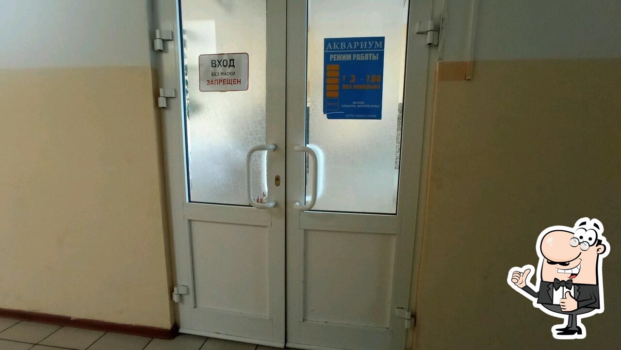 Фотография Аквариум