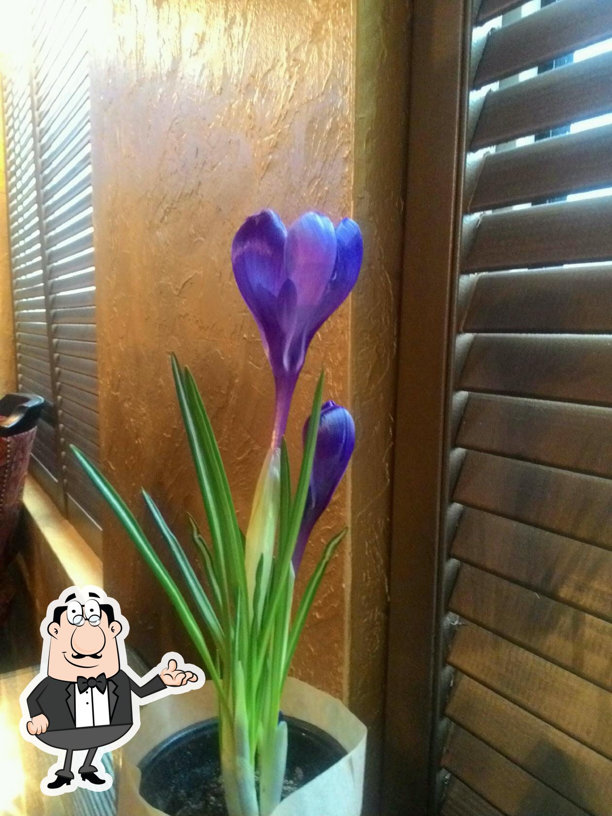 Интерьер "Мимино Хинкальная".