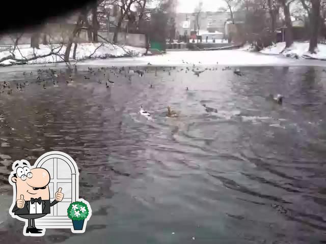 Наслаждайтесь видом , который открывается из "Городской парк культуры и отдыха".