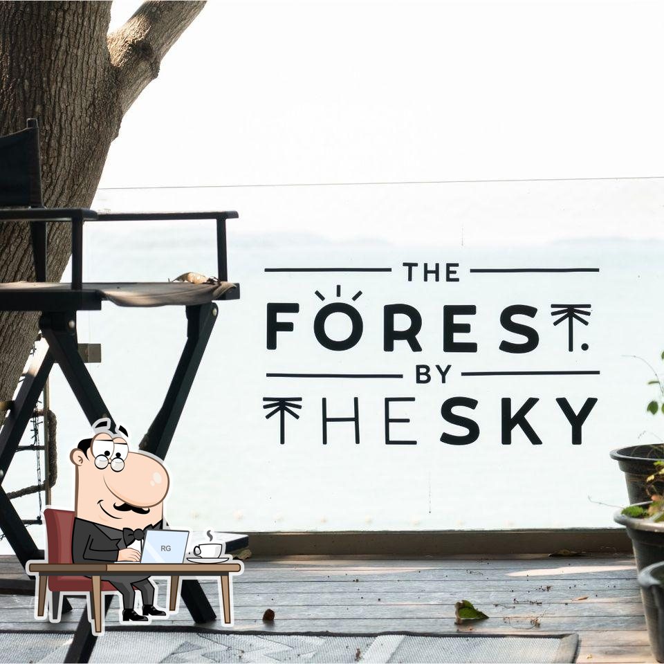 Забронируйте столик в "The Forest by The Sky".