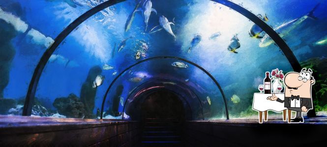 10 Unusual Restaurants in the World for Your List of Ideas