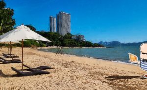 Pattaya Food Guide for Travelers: Best Dishes and Restaurants