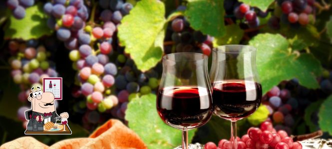 Perfect food pairings: our choice of the best Argentina's wines