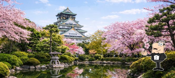 Top 5 things to do in Osaka, Japan + where to eat