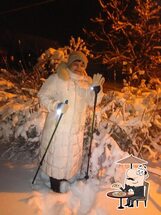 Куры гриль Шашлык