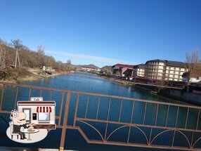 Столовая ТОВАРИЩ