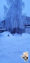 Кафе у гарика