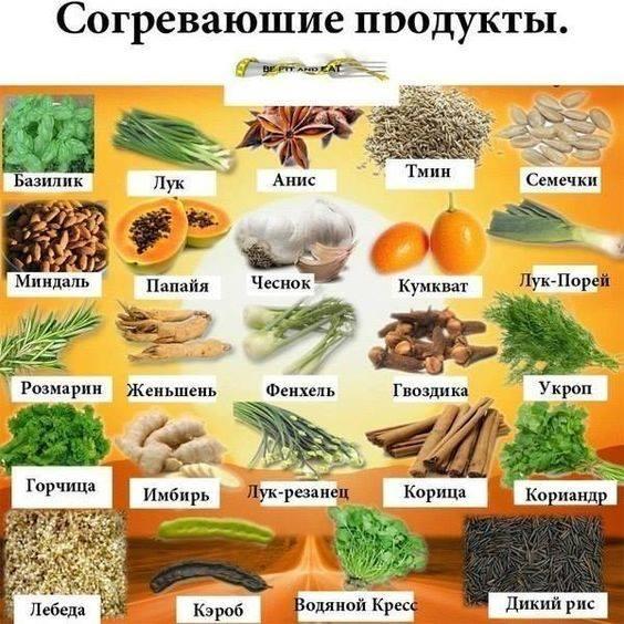 о ресторане меню
