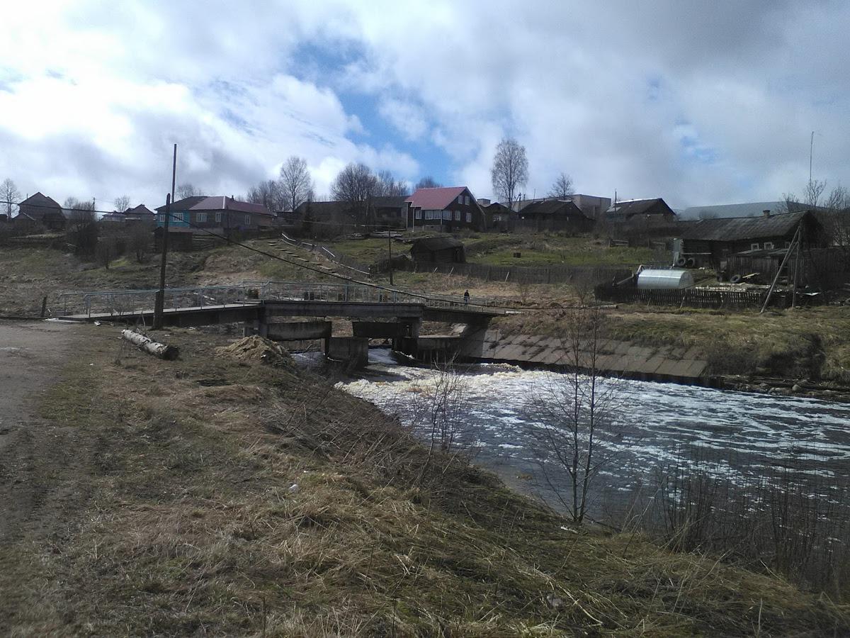 У Ёлочки