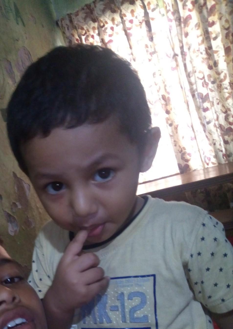 Shahi Morog Polau