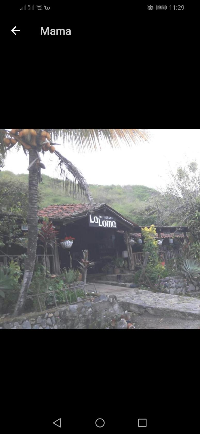 Restaurante La Loma
