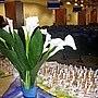 Baldirama Restaurant Group