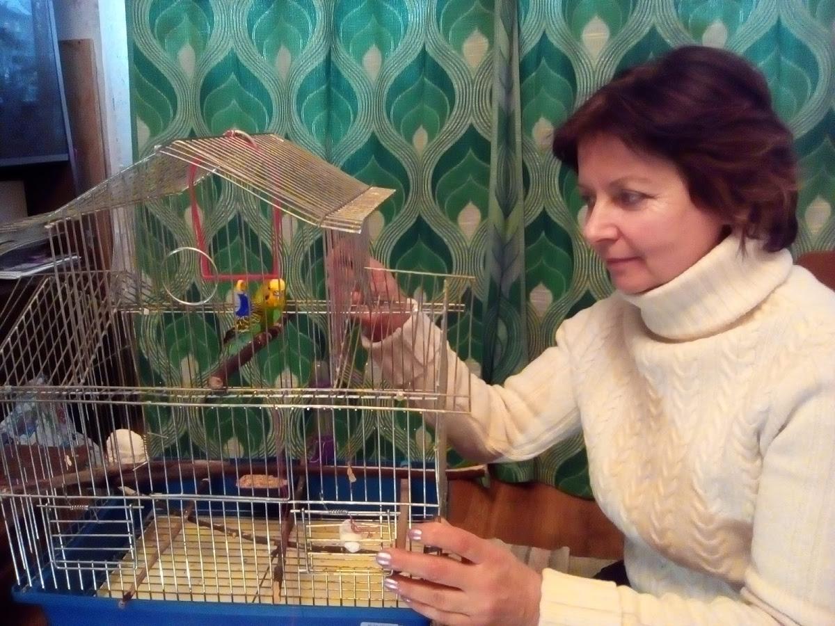 Стандарт-м