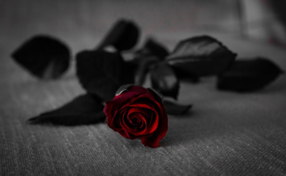 آشپزخانه لذيذ