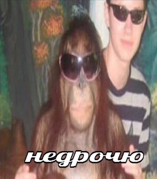 Магазин-закусочная "ПиФная Бочка"