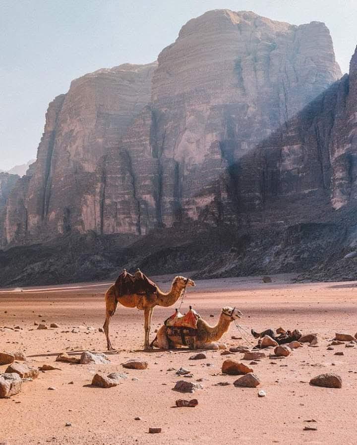 مخابز الخير الالية