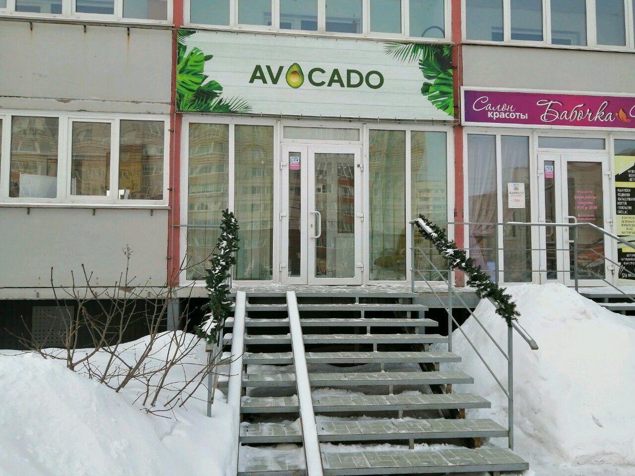 Avocado