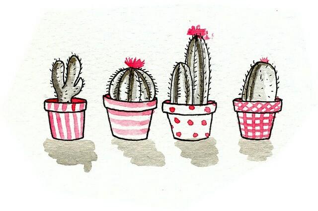 Sr. Cactus