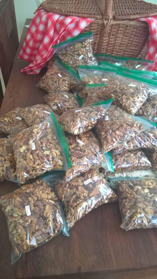 Rincon Criollo