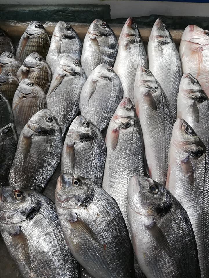 Merhi Seafood
