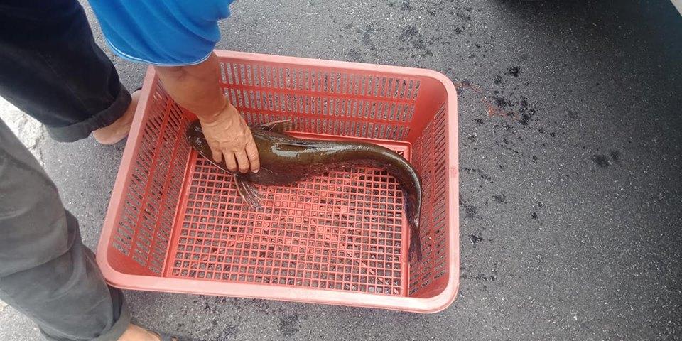 銓记海鲜酒楼