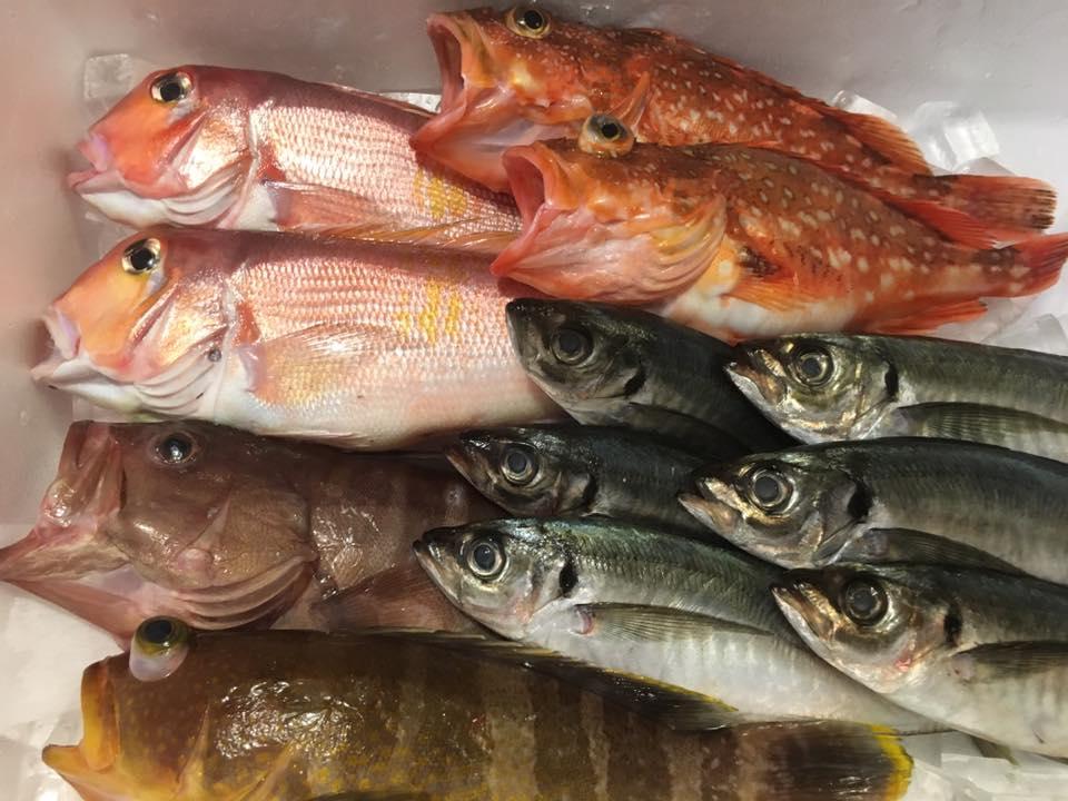 磯料理やまおか