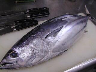Sushi Dokoro Masabo Isesaki