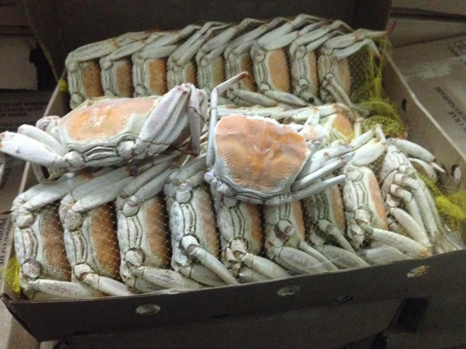 AZM mariscos Lda