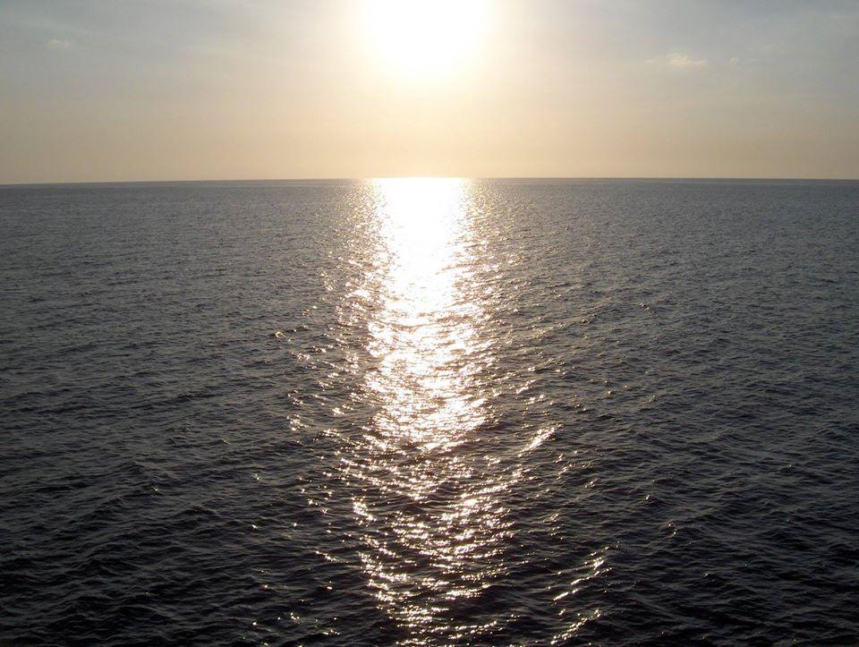 SeaProducts