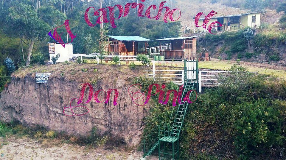 El Capricho de Don Pinto