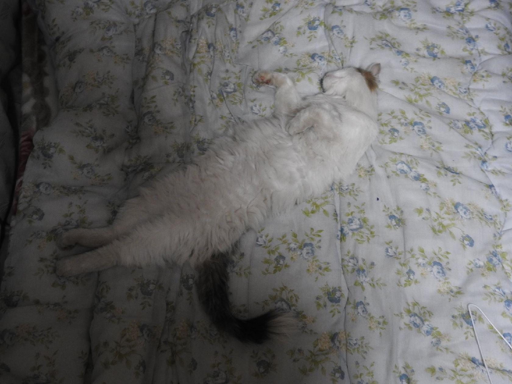 但馬の里