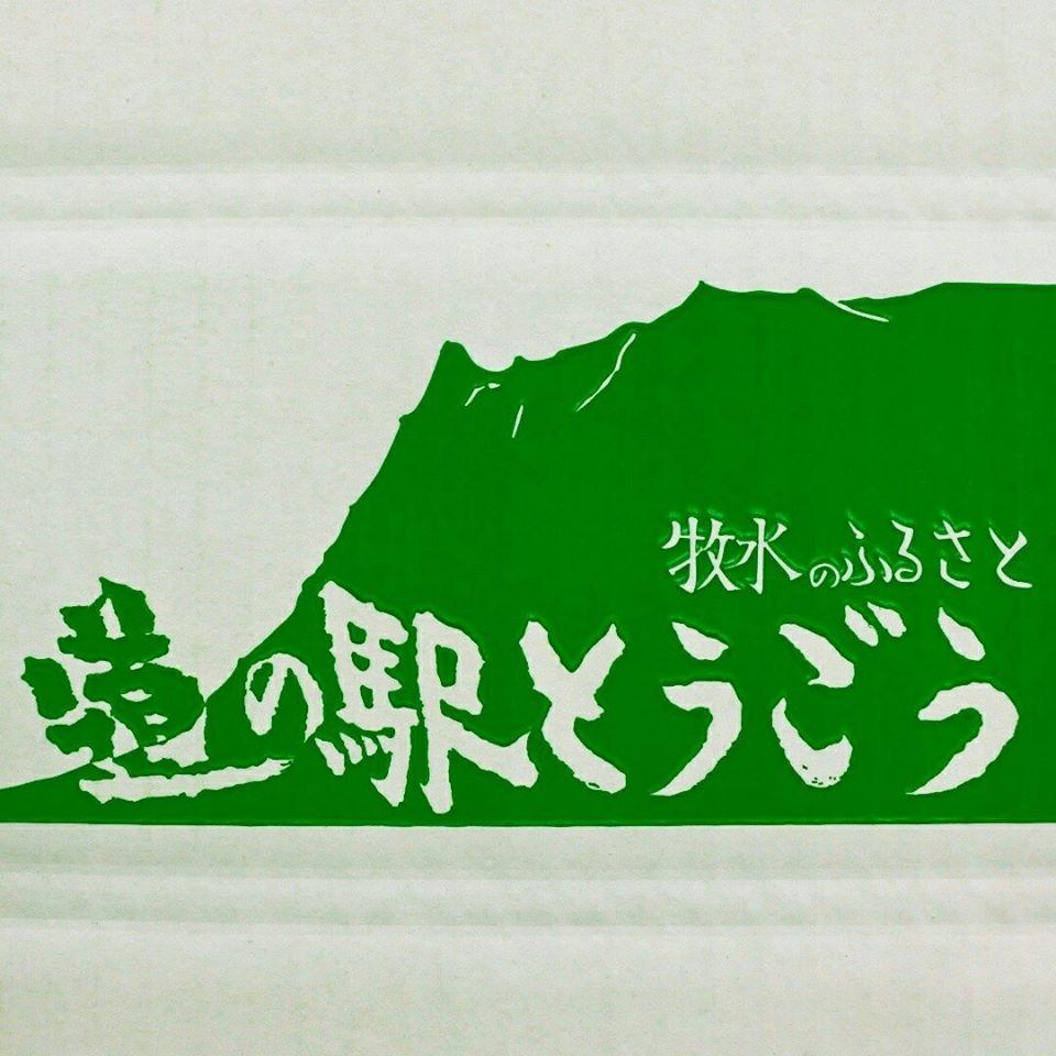 道の駅とうごう