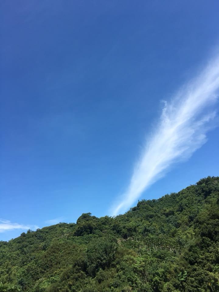 慕欣園魔法香草森林