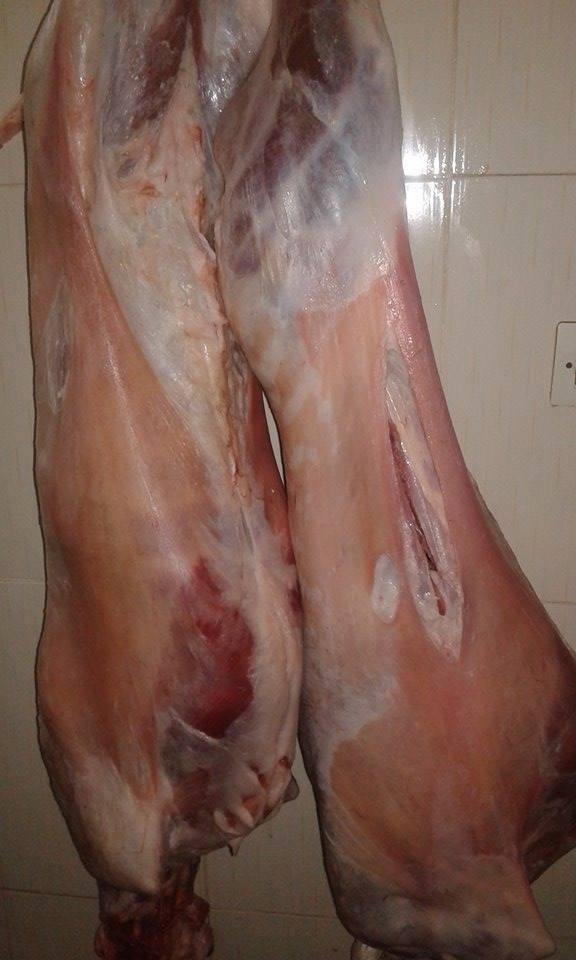 Mechoui