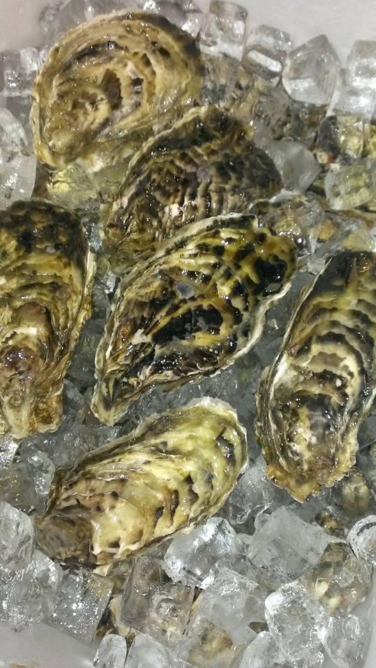 Koyo Bar Ista