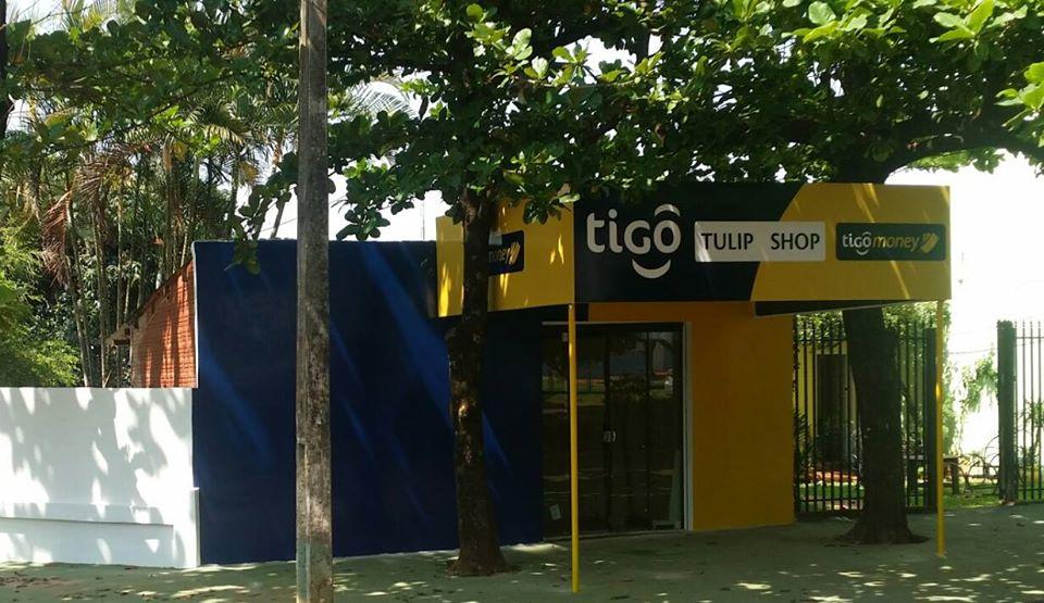 Tulip Shop