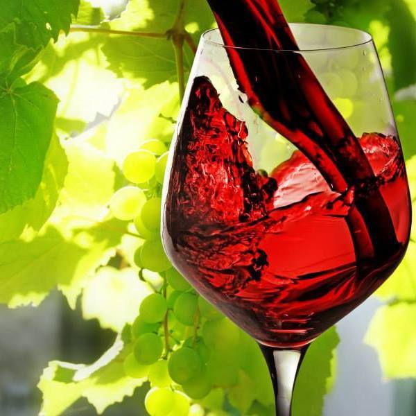 Vinos y Destilados 3B