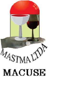Mastma lda
