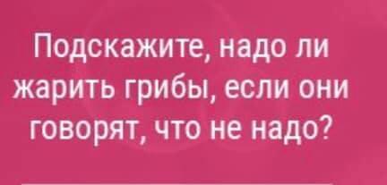 Грибница