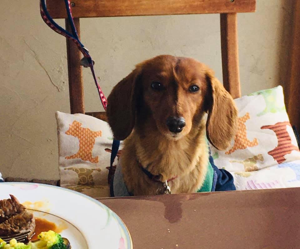 ふらんす食堂プティポワ