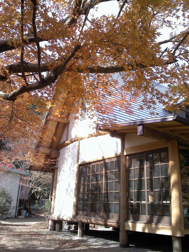 銀嶺 天行路樹林