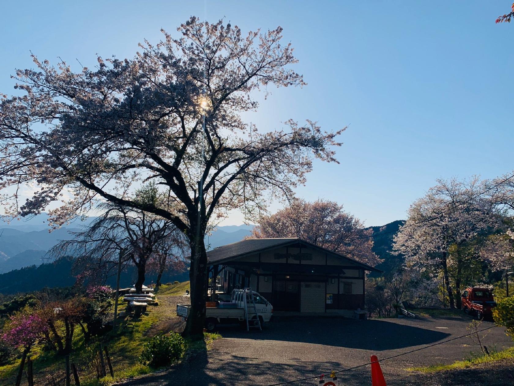 富士見茶屋