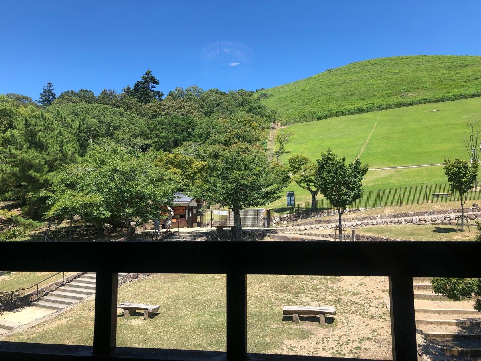 春日野