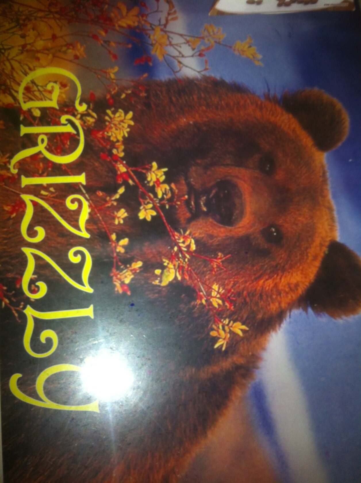 Гриззли