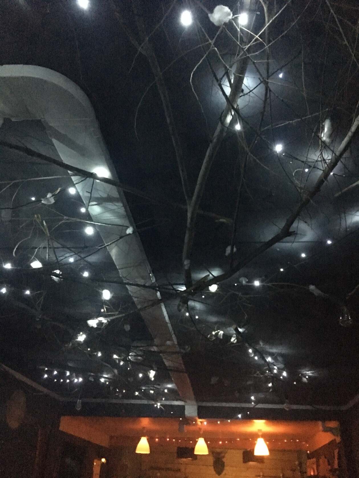 Haze hookah house