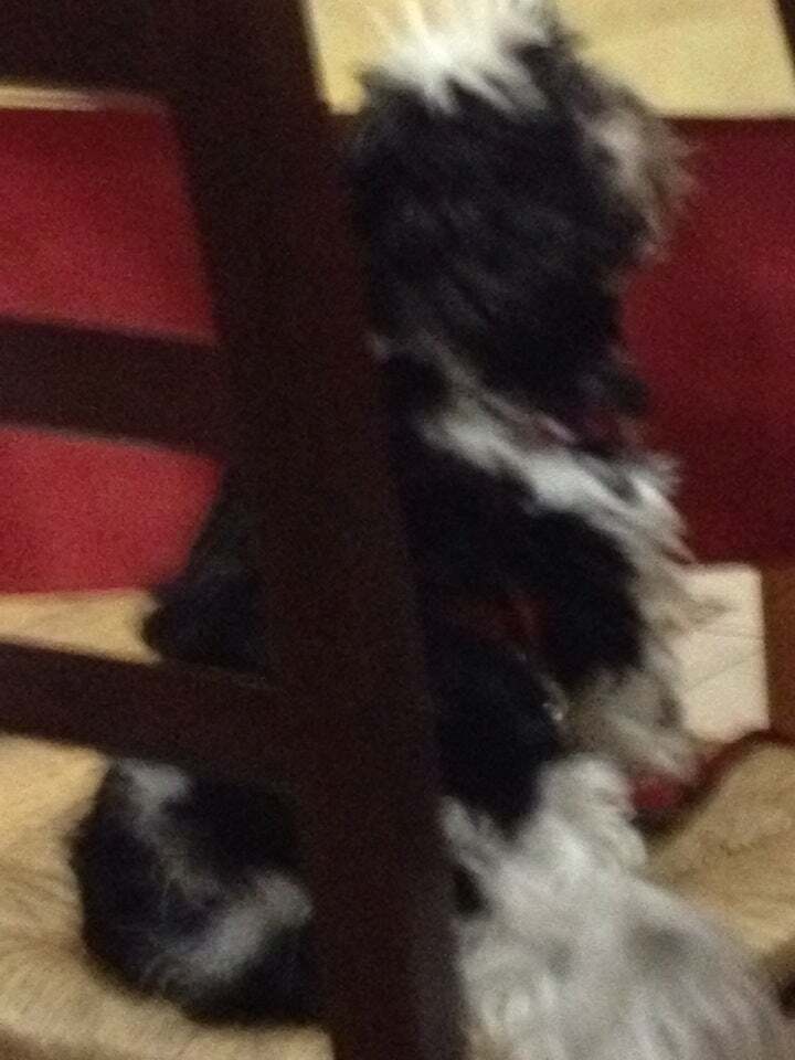 Vecchio Frantoio