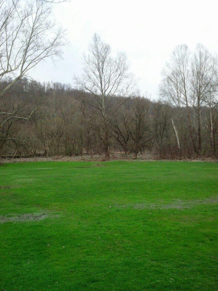 Celko's Trout Camp