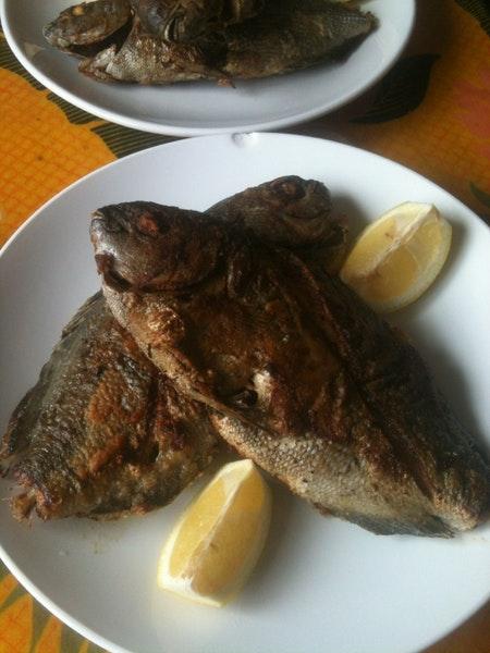 Kafe Motu Hava